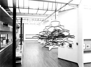man-ray-300