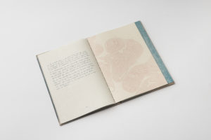 Casa Azul book-6439