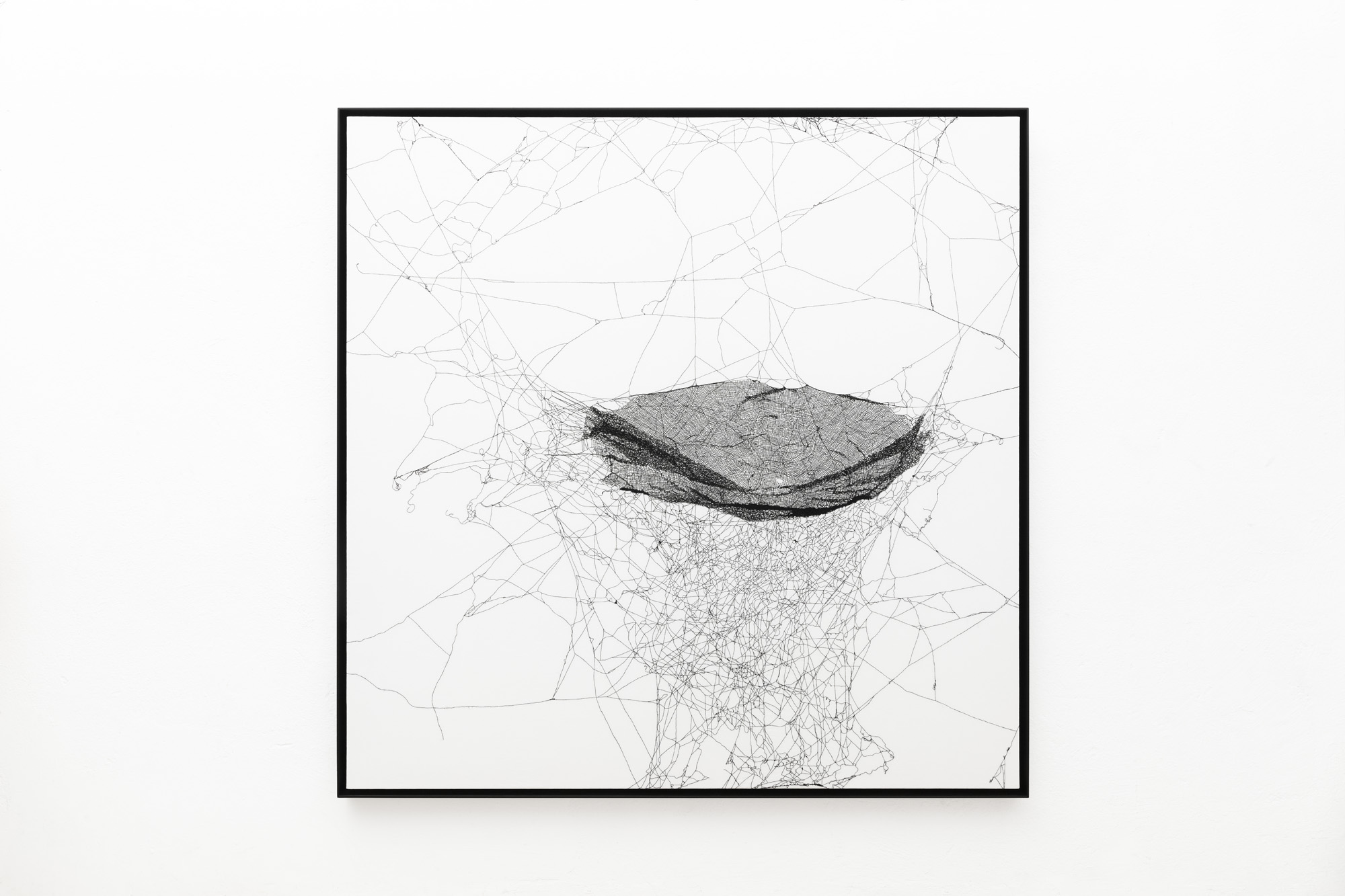 TOMAS SARACENO_P22022_001