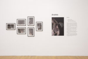 4_RI-SCATTI 2024_SOMEBODY TO LOVE_PAC Milano_Foto Claudia Capelli